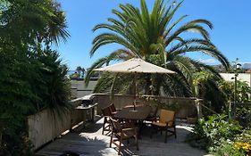 Palm Garden Apartment